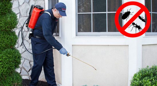 Merzifon Dezenfeksiyon böcek ilaçlama ve haşere kontrolü — ilaclama-tr.com